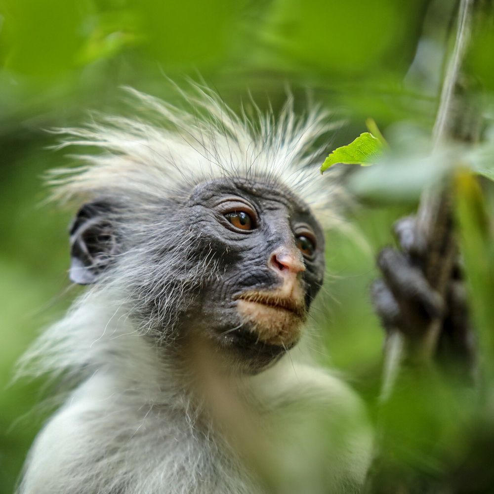 Photograph by Emma Button