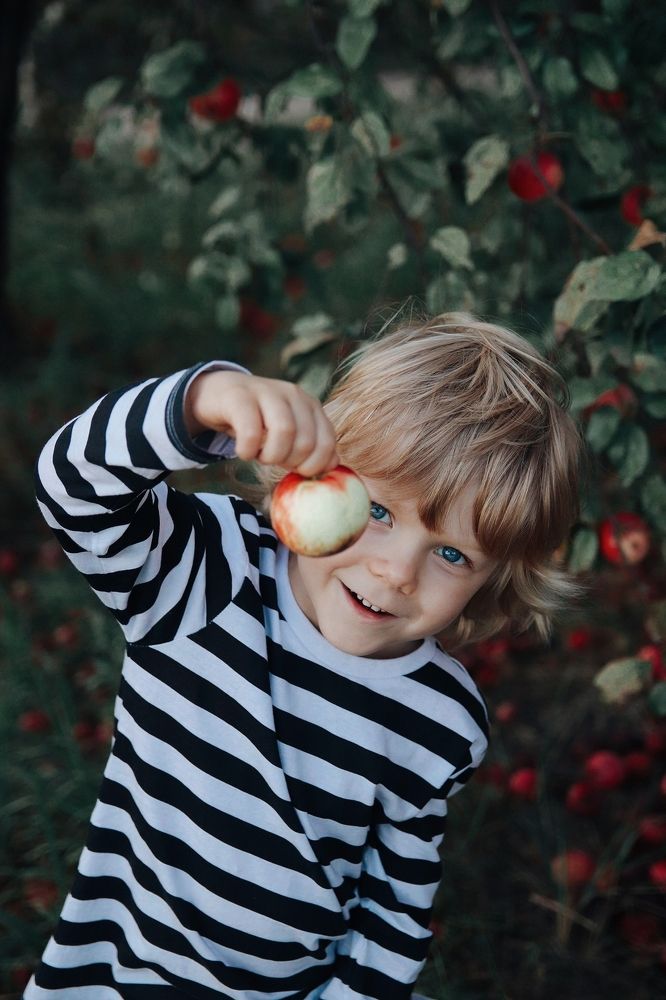 Фотография автора Наталья Боярина