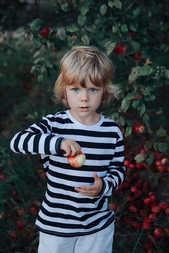 Фотография автора Наталья Боярина