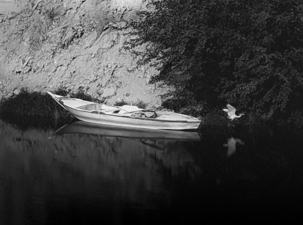 Фотография автора Mahmoud Asaad