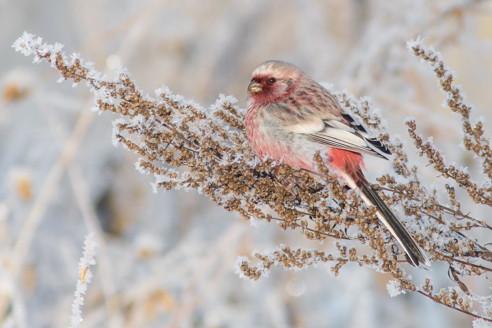 Фотография автора Суслов Дмитрий