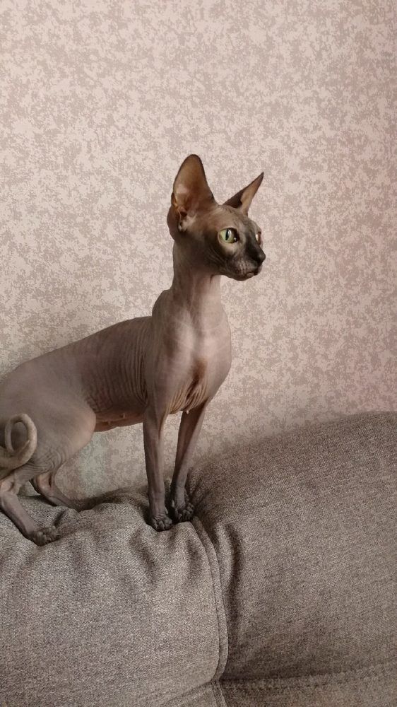 Photograph by Евгения Иванчикова