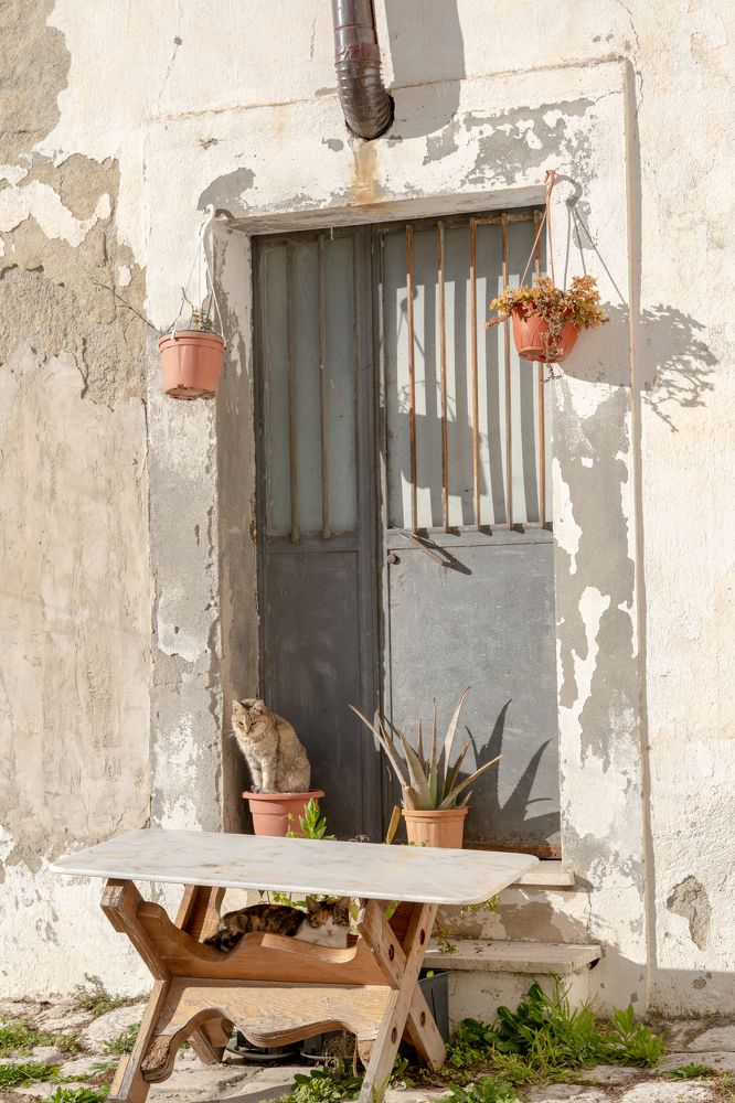 Photograph by Alexandre de Pommereau