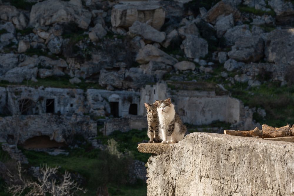 Photograph by Alexandre de Pommereau