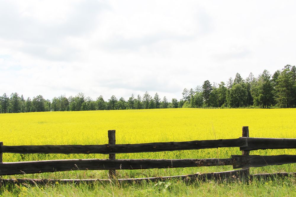 Photograph by Екатерина