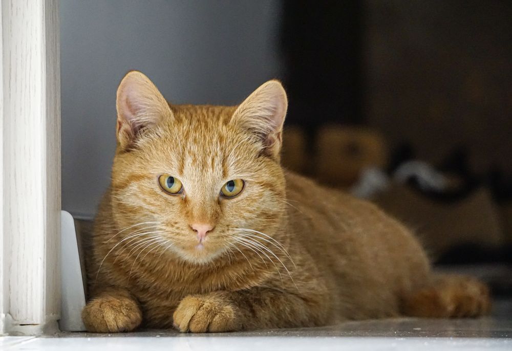 Photograph by Catalin Serbu