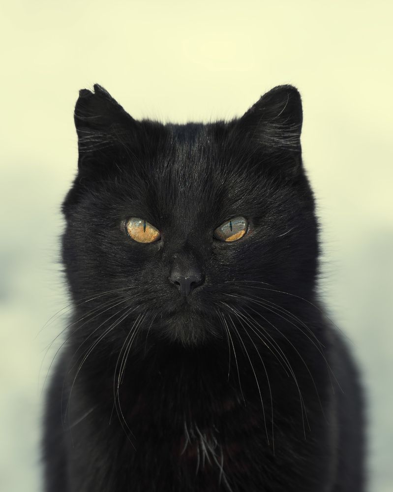 Photograph by Ольга Рагинская