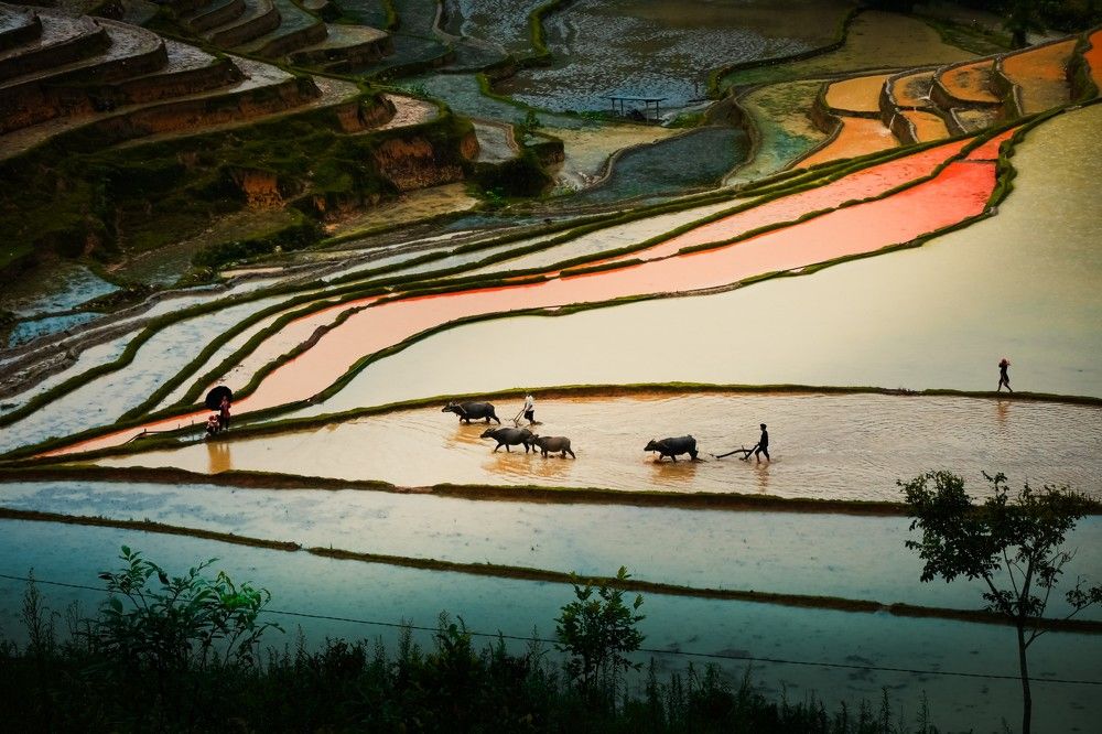 Photograph by Moc Lan