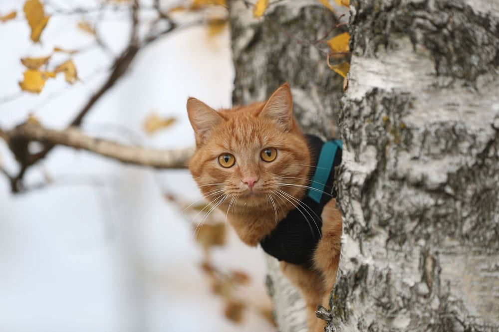 Photograph by Фёдор Захаров