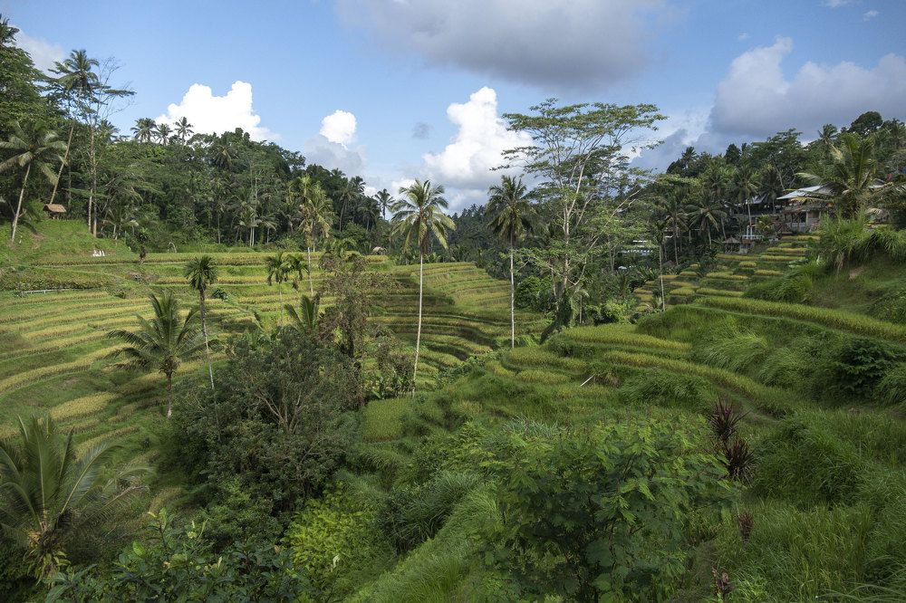 Photograph by Маркелов Андрей