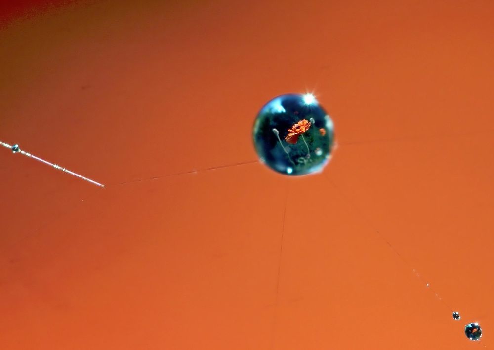 Photograph by Любовь Саханова