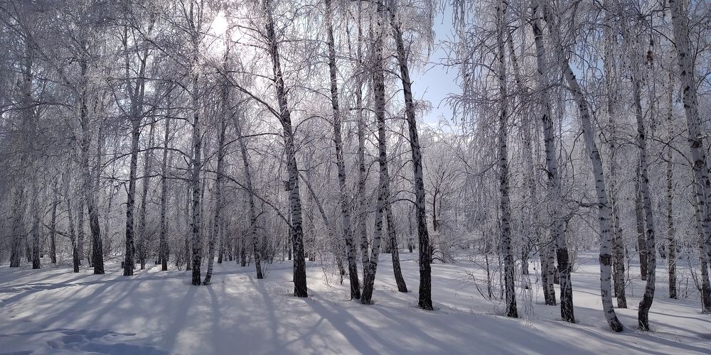 Photograph by Людмила Фризен