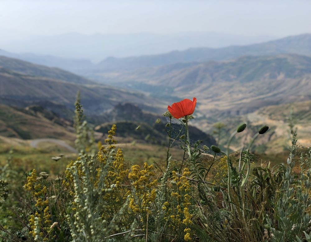 Прекрасная Армения