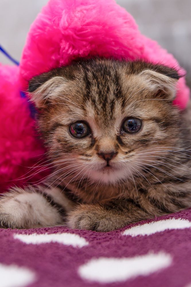 Photograph by Юрий Карпенко