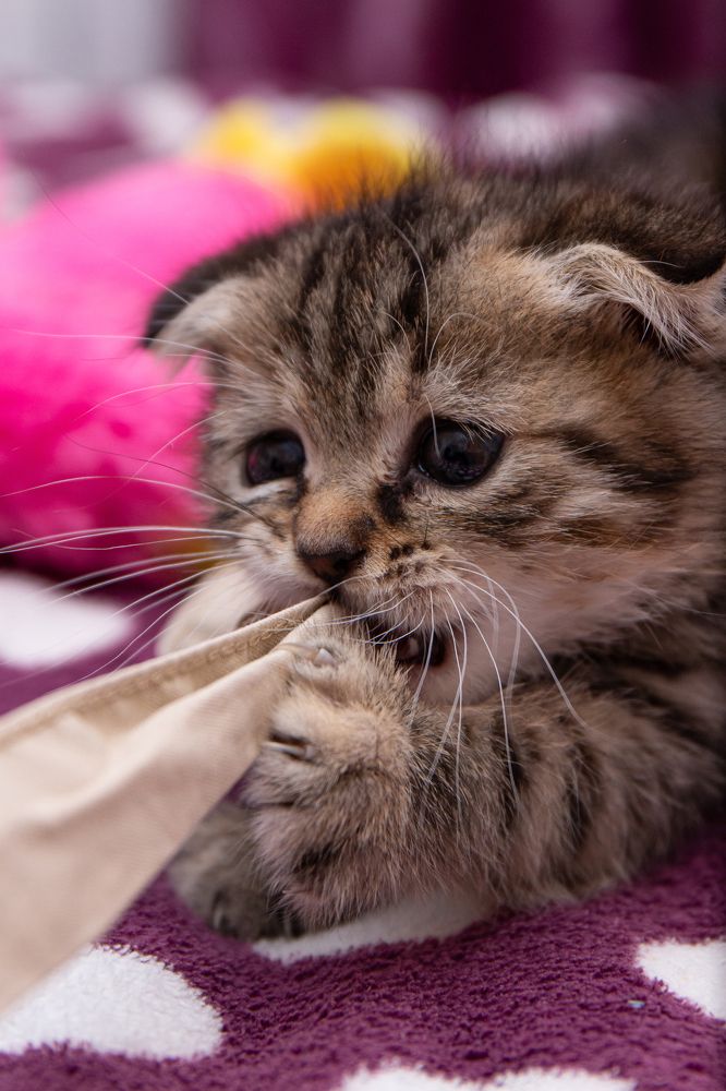 Photograph by Юрий Карпенко