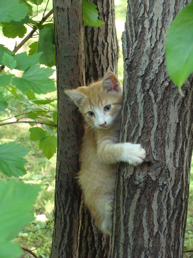 Photograph by Николай Худяков