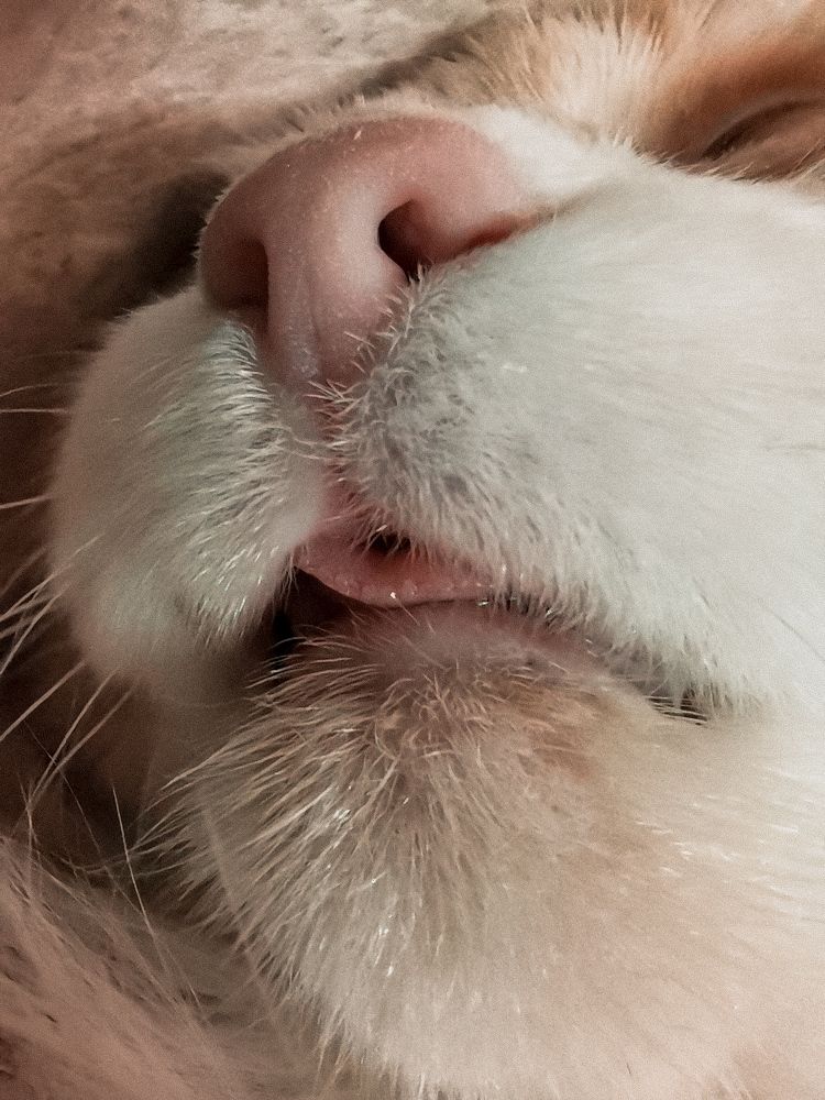 Фотография автора Мария Черница