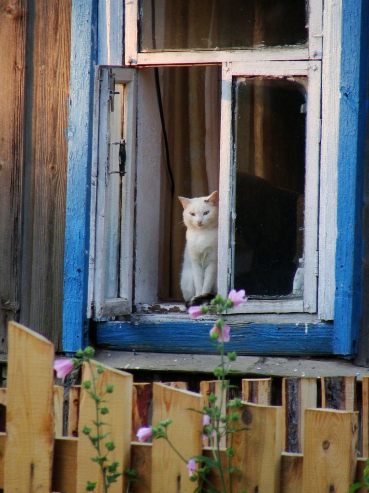 Photograph by Николай Худяков