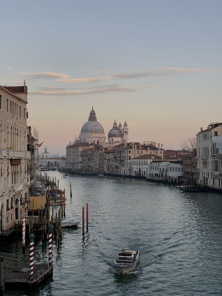 Photograph by Елена Плюхина