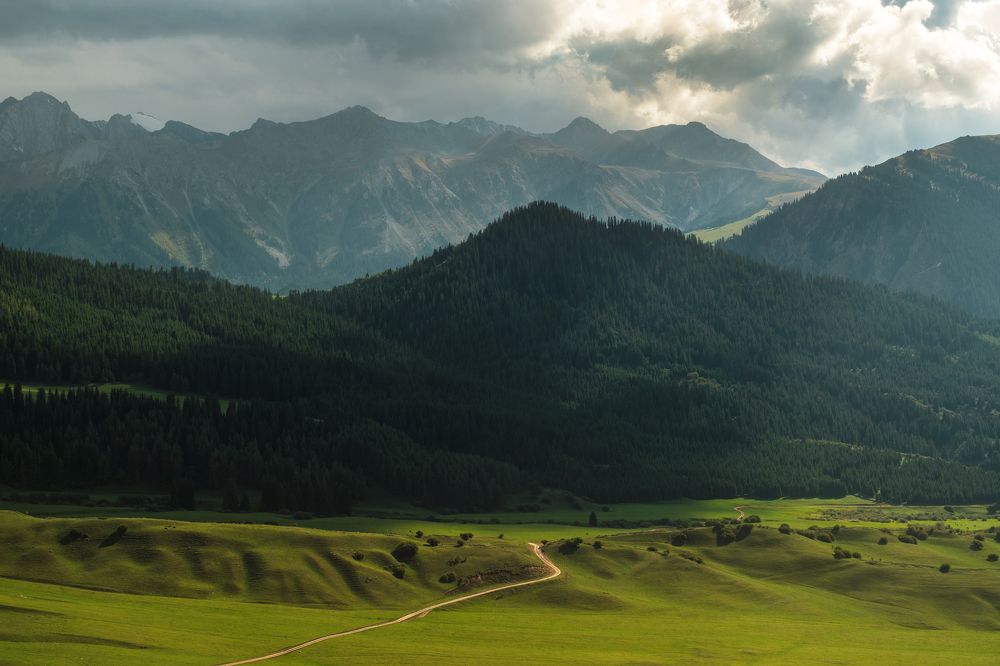 Photograph by Дильмурад Ахмедов