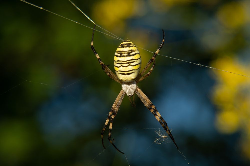 Photograph by Ариадна Подмогильная