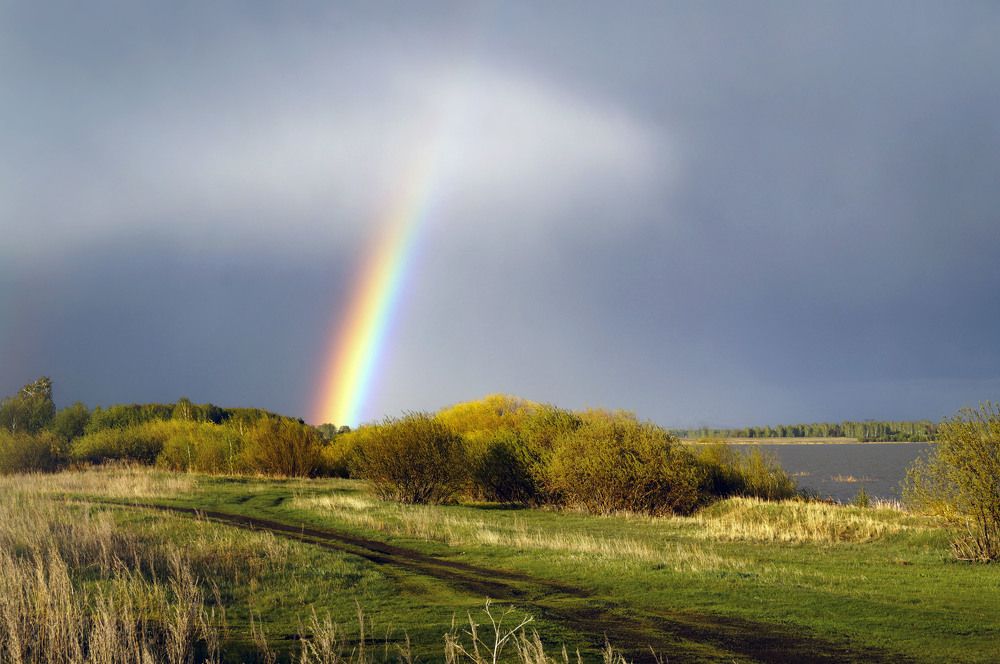 Photograph by Мишустина Татьяна