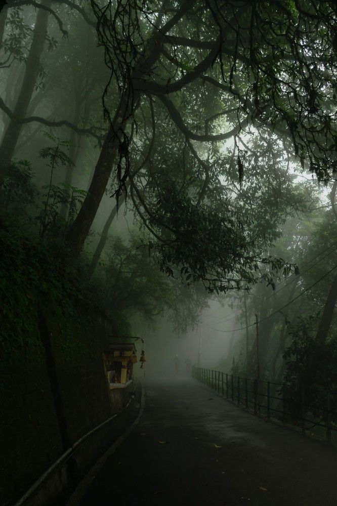 Photograph by ARANYA KAR