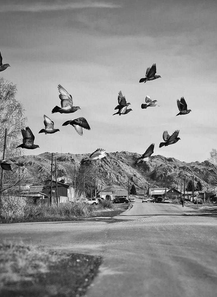 Photograph by Ольга Веселова