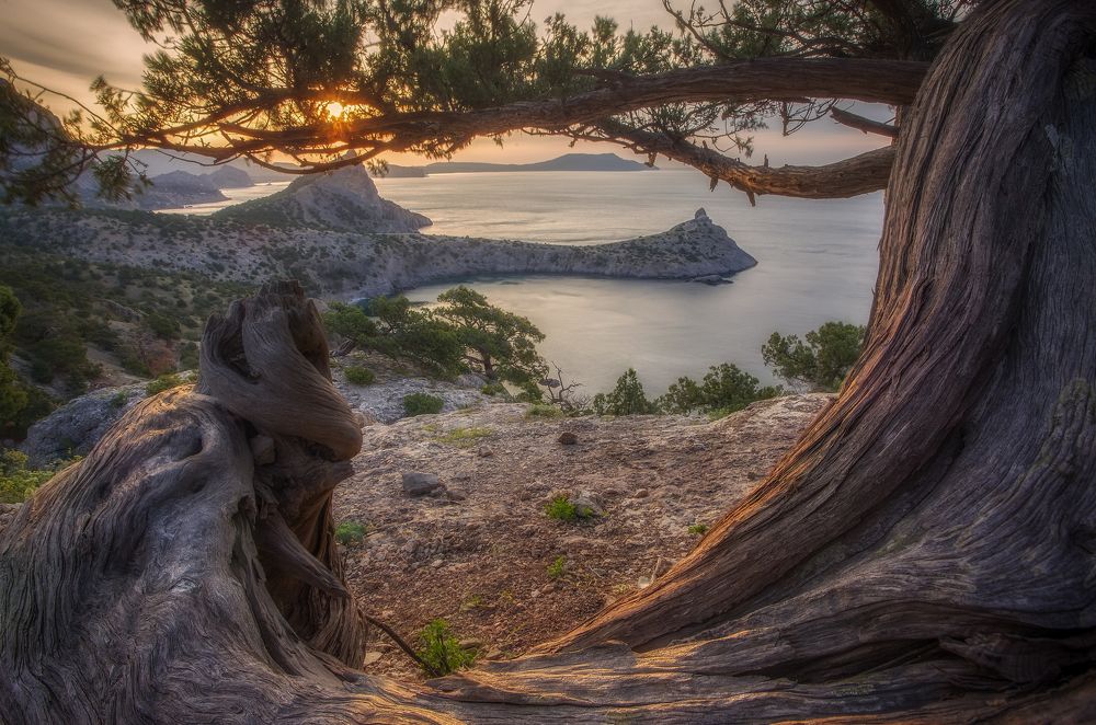 Фотография автора Дмитренко Екатерина