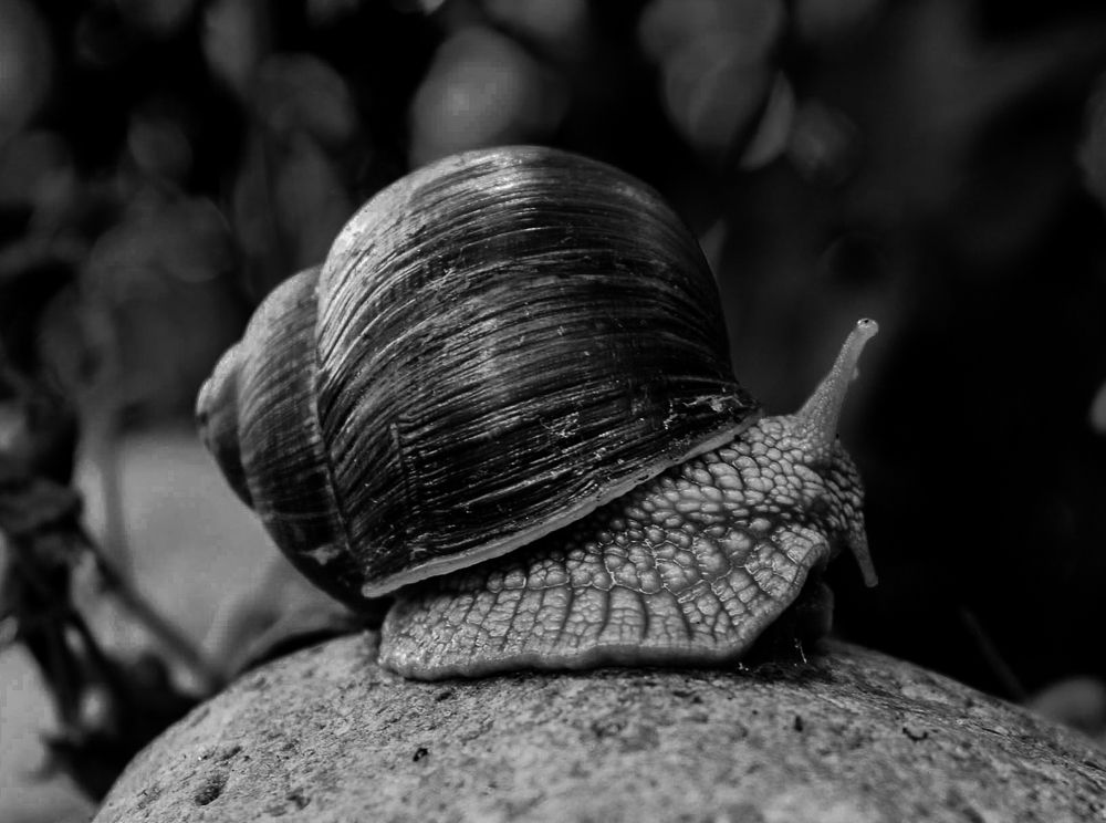 Photograph by Светлана Антонова