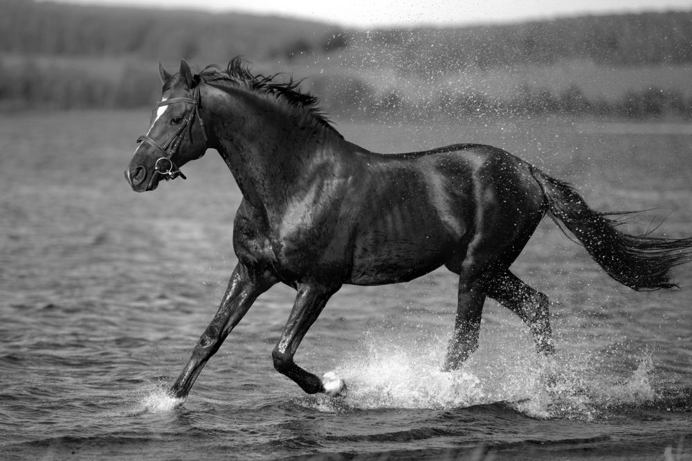 Фотография автора Олеся Евгеньевна