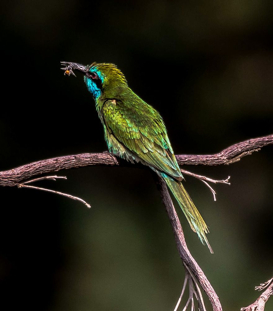 Photograph by Emma Button