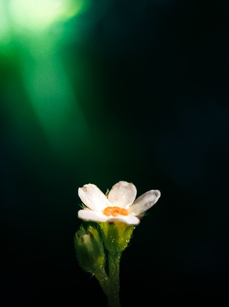 Photograph by Damir Sadekov