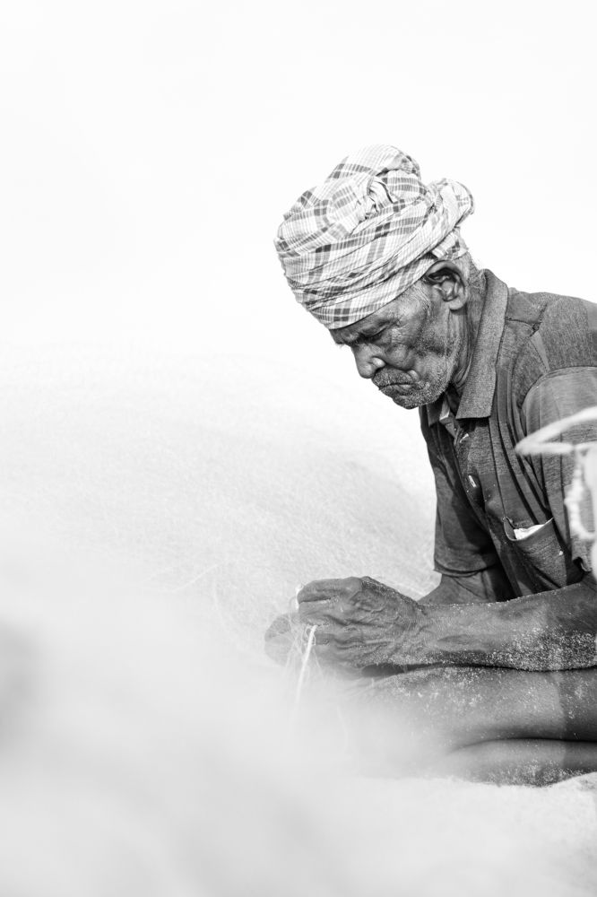 Photograph by Sam Moses