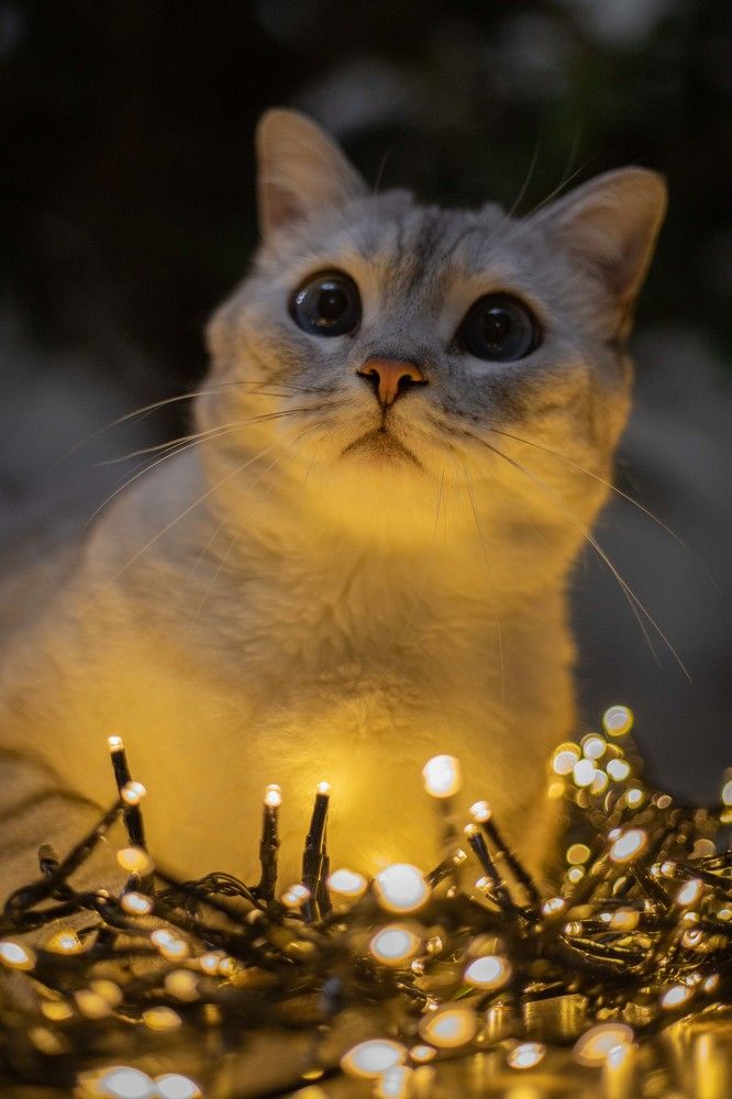 Photograph by Дмитрий Ефимов