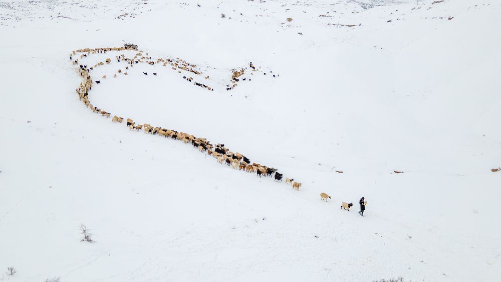 Photograph by Adem Albayrak