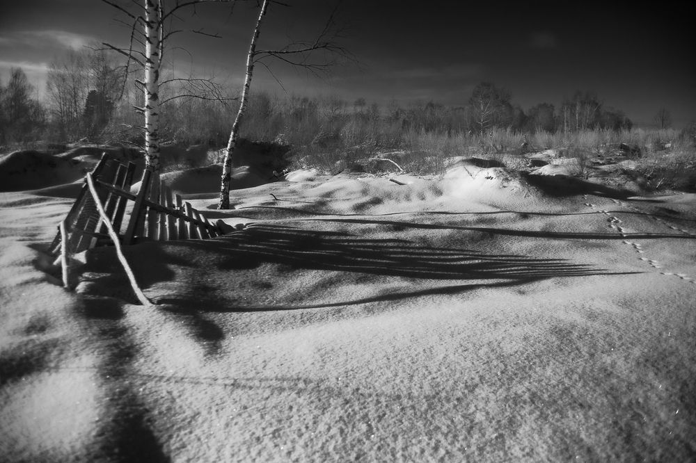 Photograph by Ершов Сергей