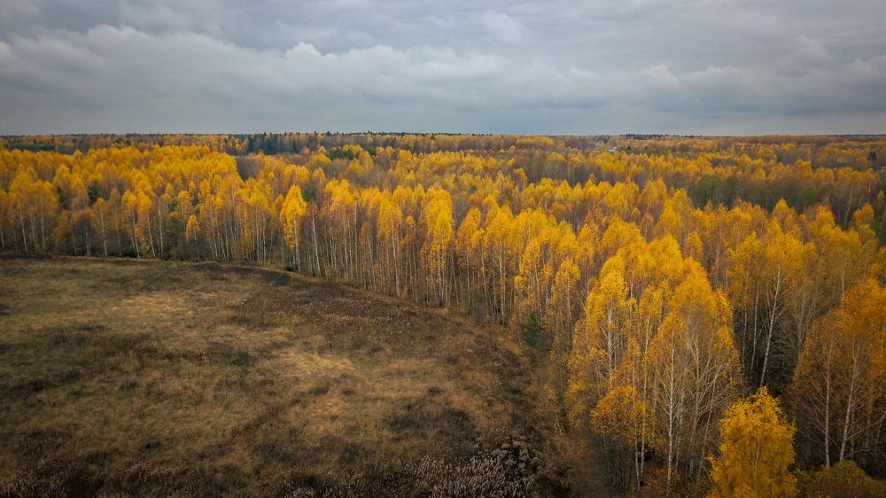 Photograph by Сергей Фаренюк