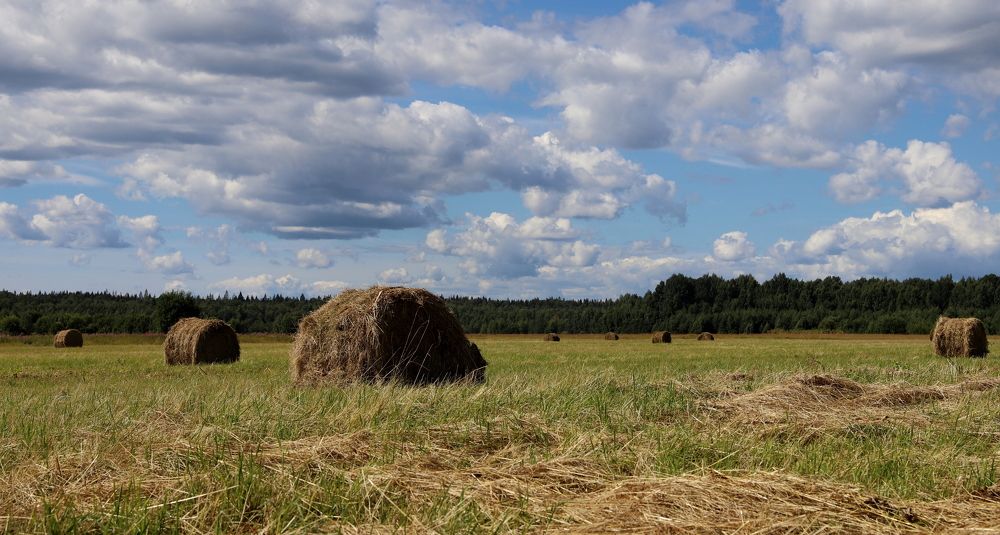 Photograph by елена