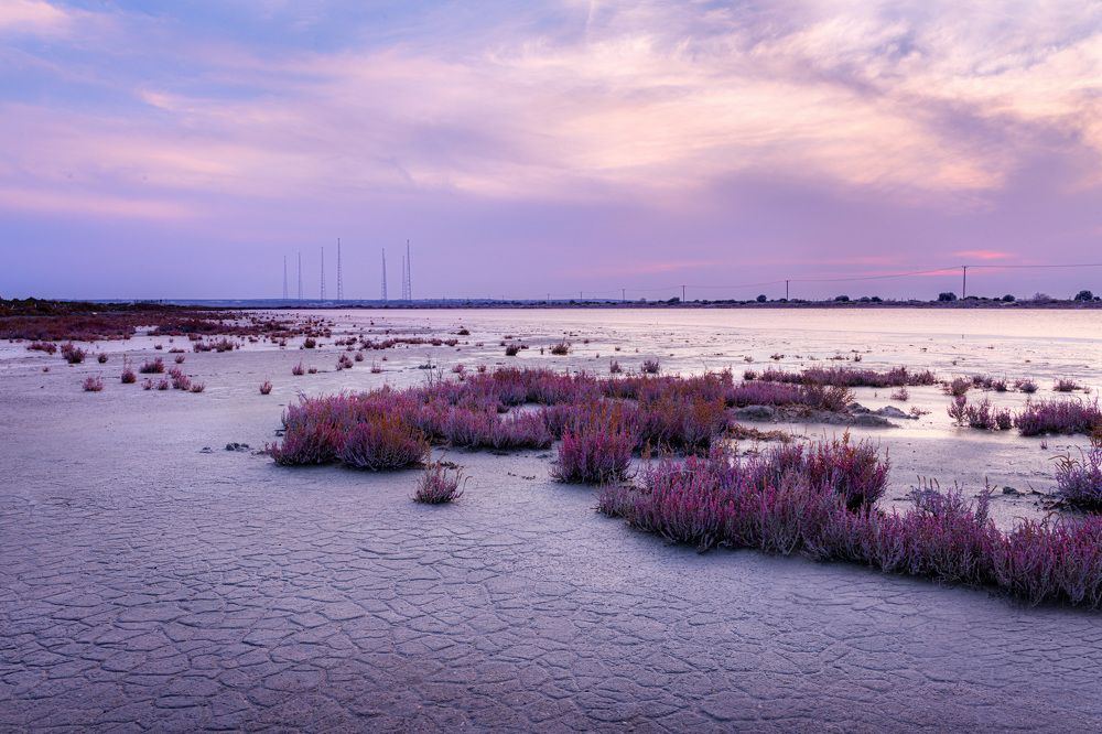 Photograph by Svetlana Tertyshnaya