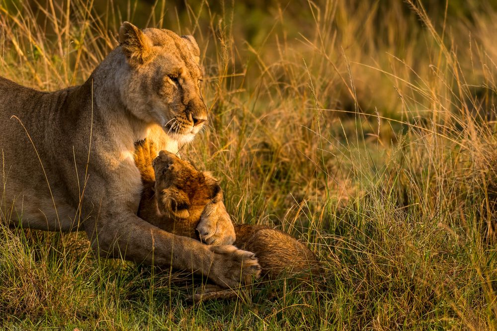 Photograph by Sunil Dhar