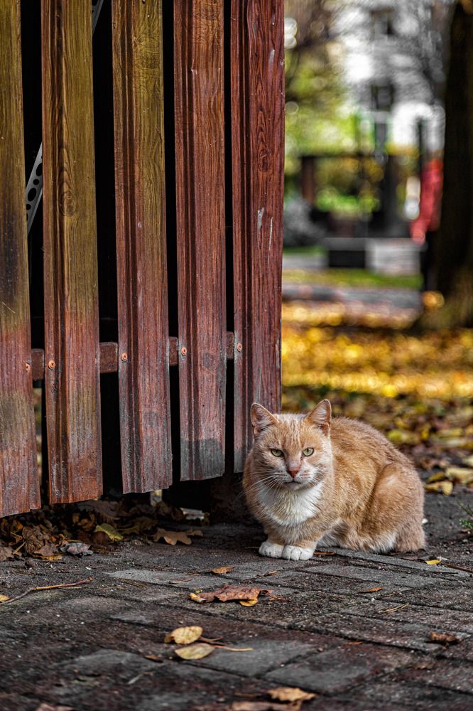 Photograph by Виталий Новиков