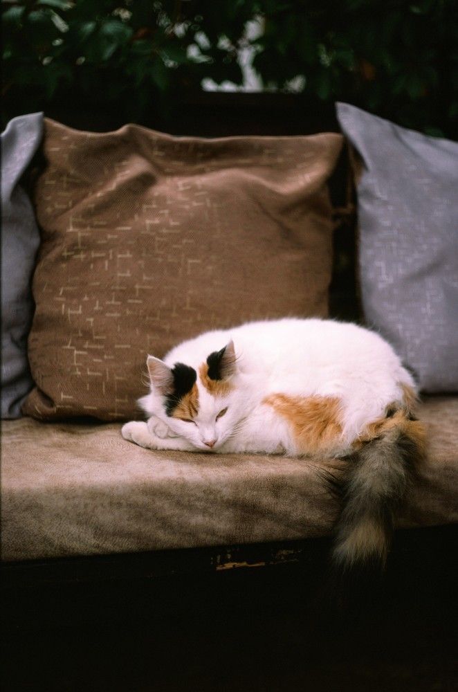 Photograph by Василий Селиванов