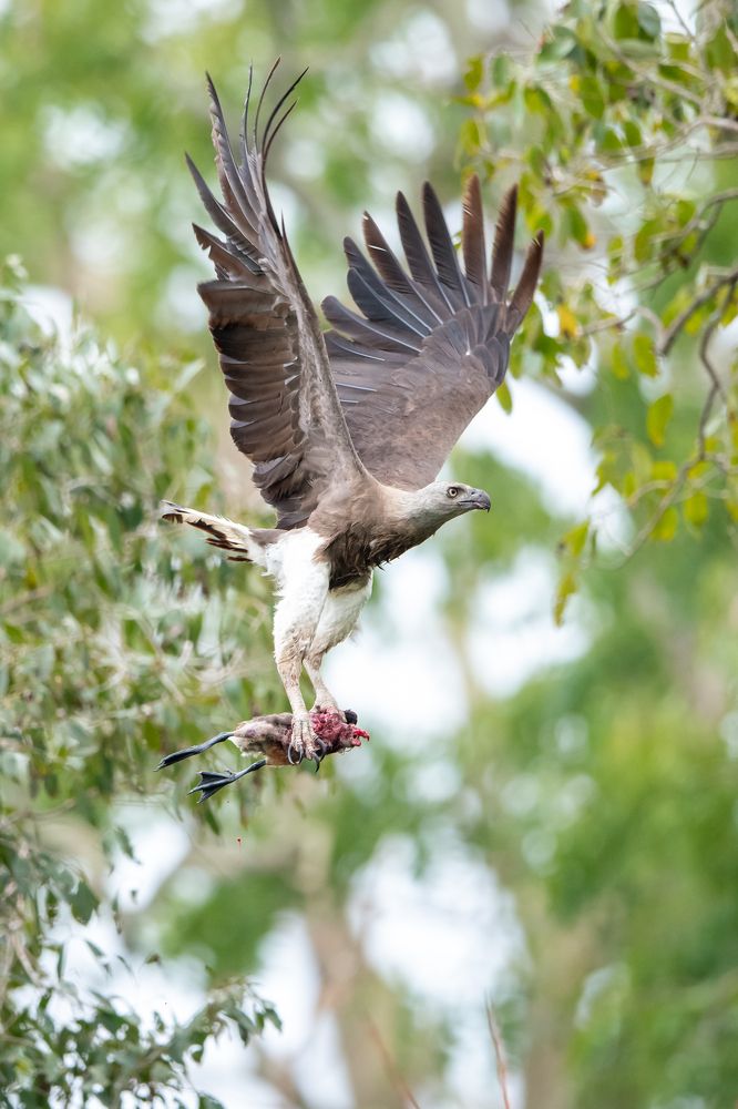 Photograph by Umesh Ranasinghe