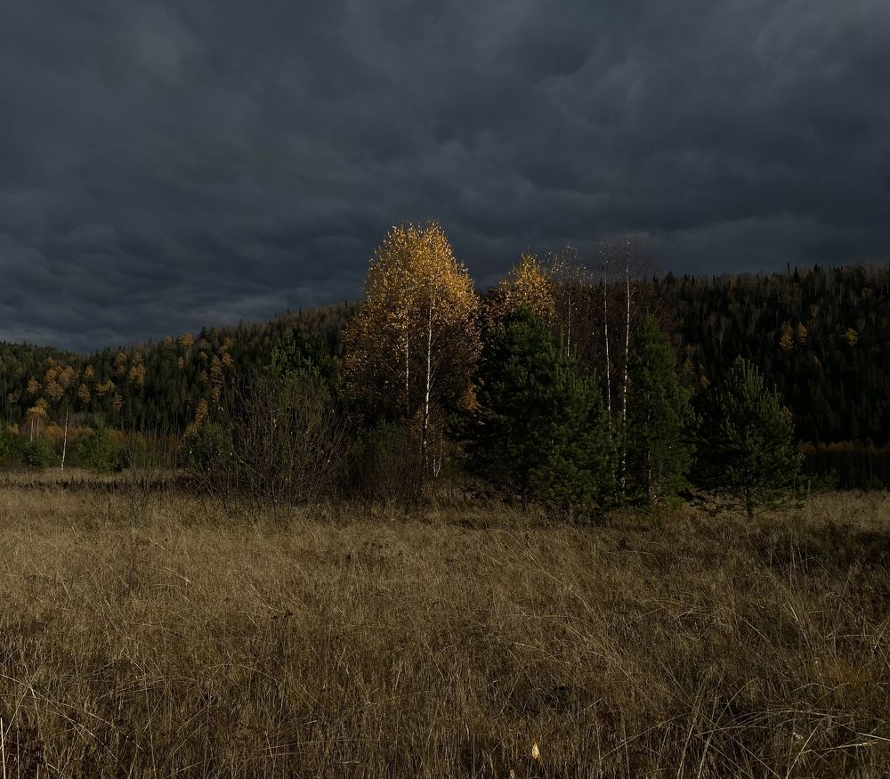 Photograph by Андрей Васеньков