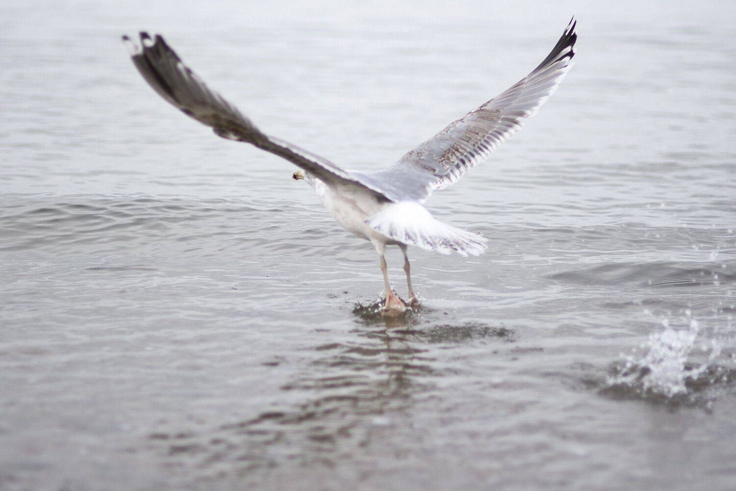 Фотография #8792154