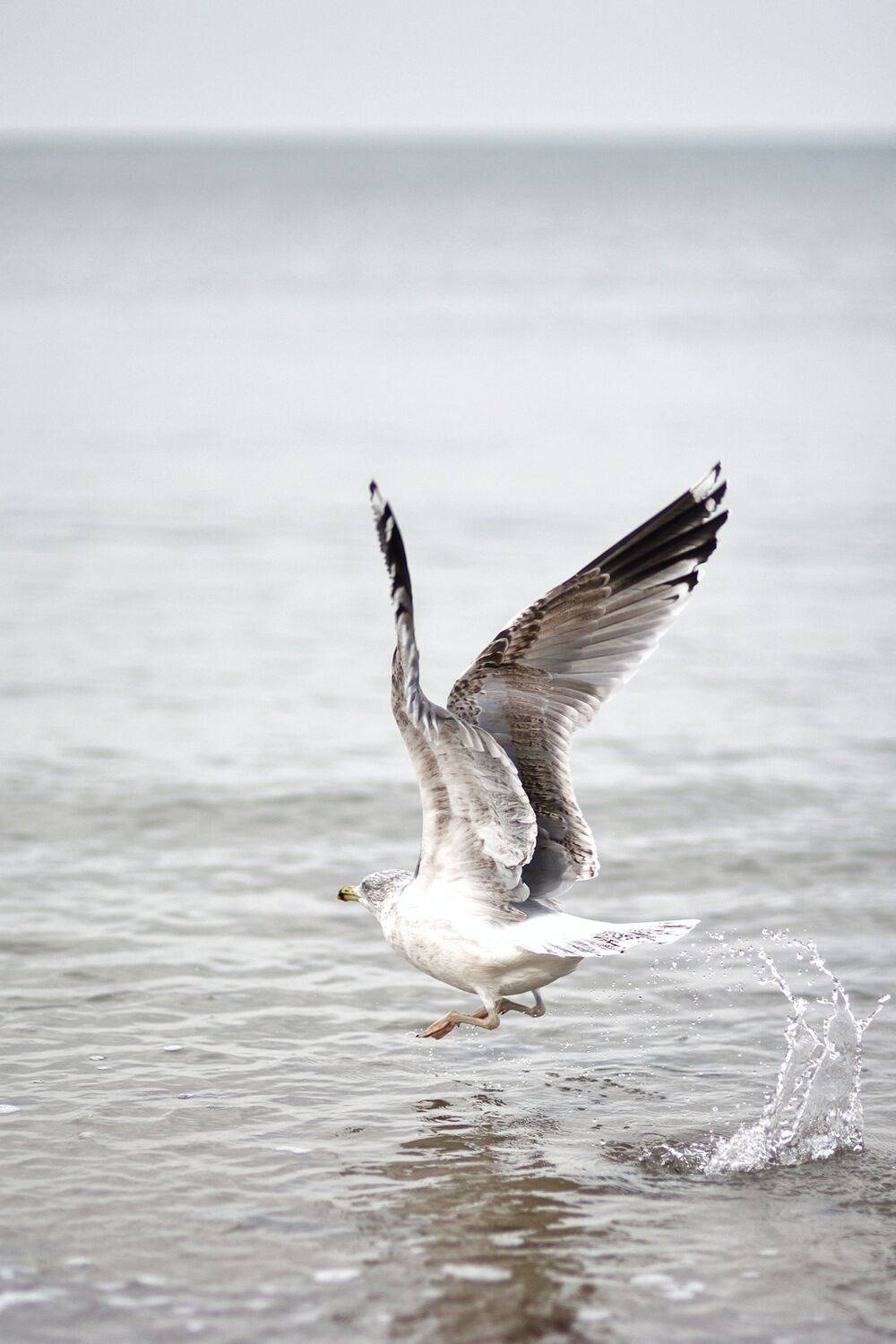 Фотография #8792155