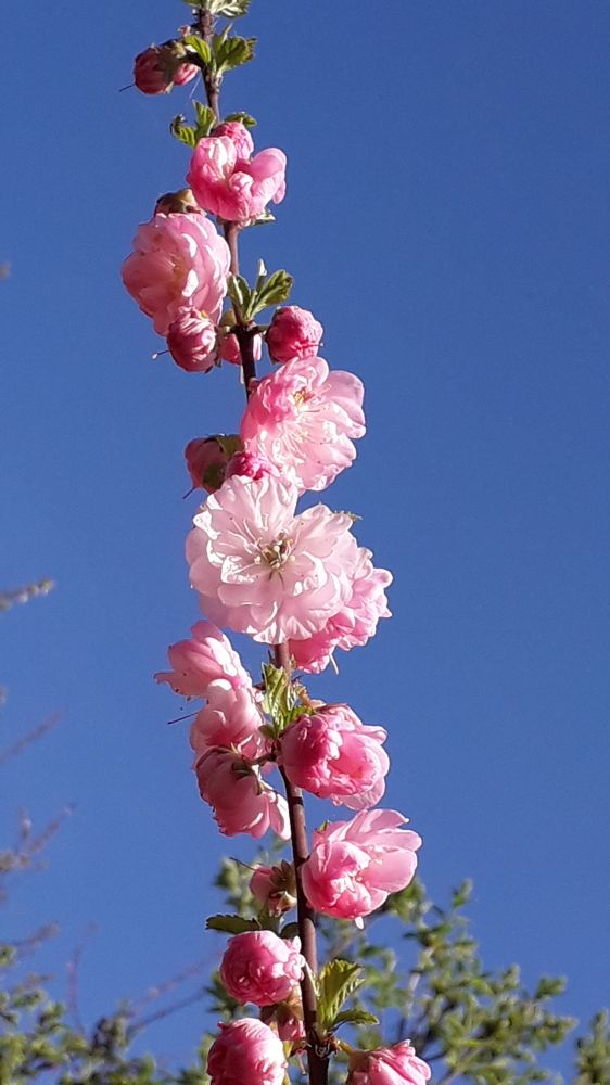 Photograph by Татьяна Солтан