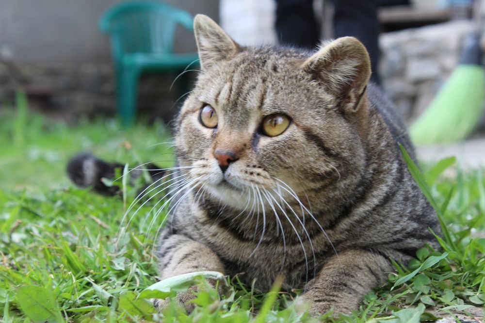 Photograph by Кристина Шоба