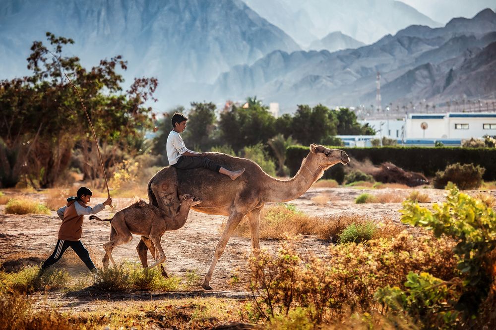 Photograph by Агата Карасева